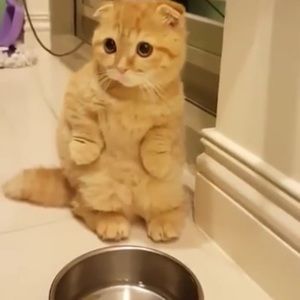 Meet your Posher, Russell